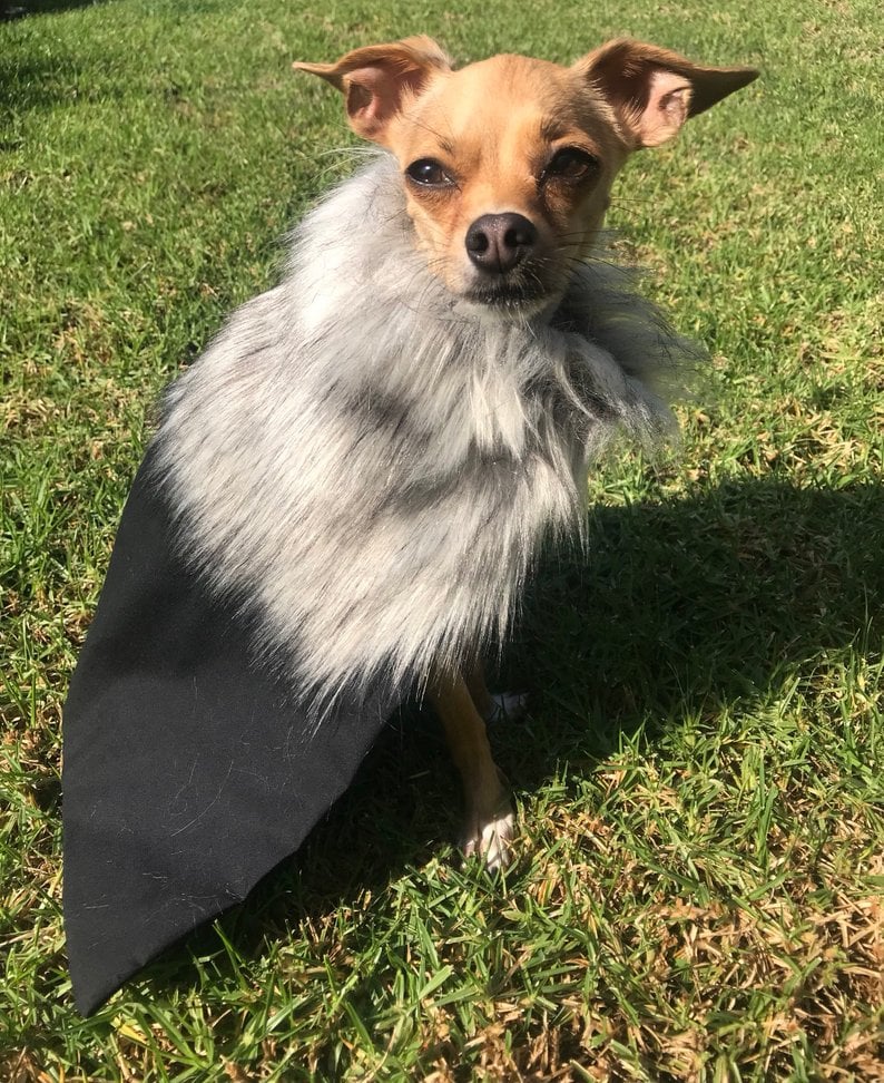 Game of Thrones Inspired Stark Night's Watch Cape For Cats or Dogs