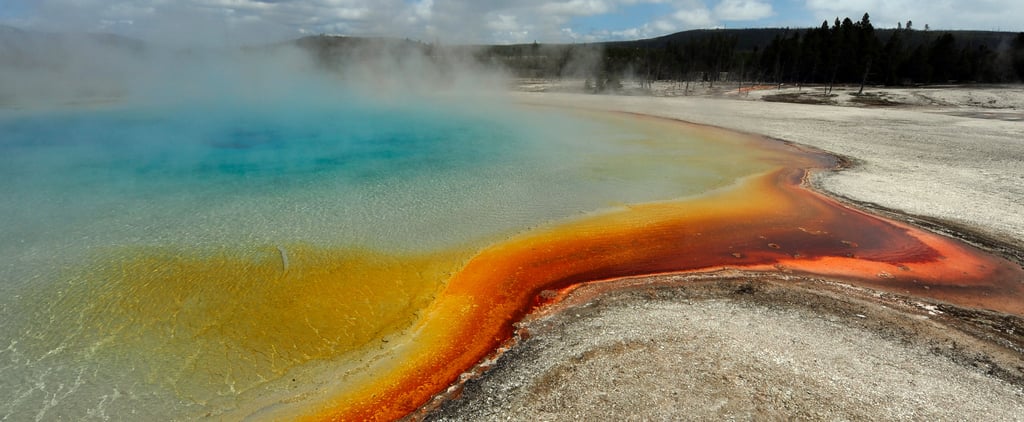 Are National Parks Safe Under Trump?
