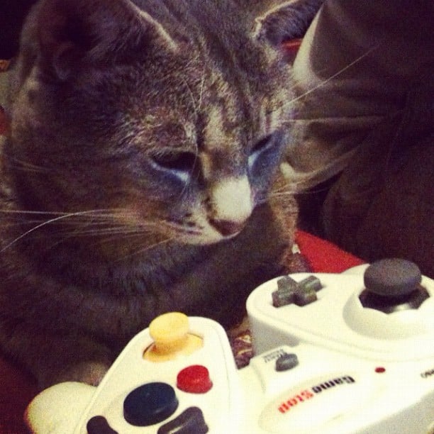 "Not now." 
Source: Instagram user  jakecoffman