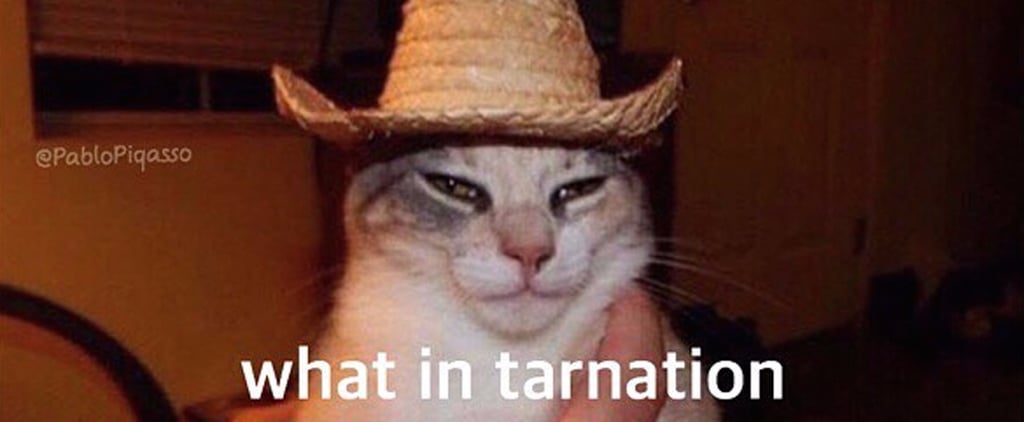 Best What in Tarnation Memes