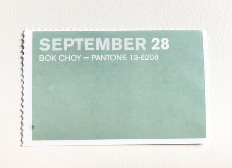 Sept. 28 - Bok Choy
