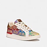 lowline low top sneaker in rainbow signature canvas
