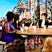 POPSUGAR's Lindsay Miller on The Talk, November 2016 | Video