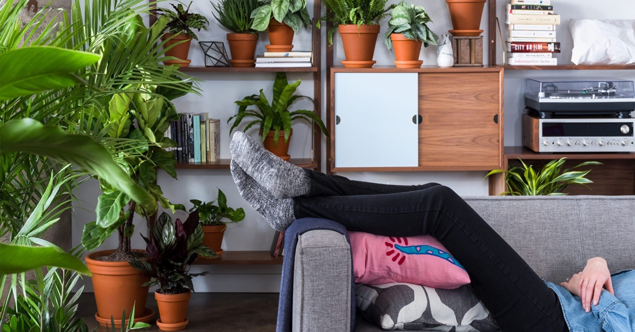 Can I Order Plants Online? POPSUGAR Home