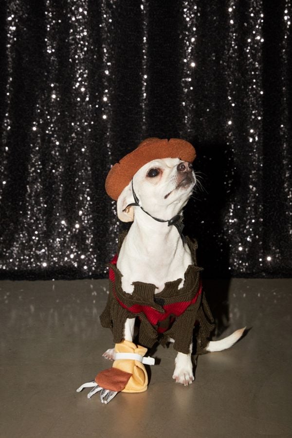 Freddy Krueger Dog Halloween Costume