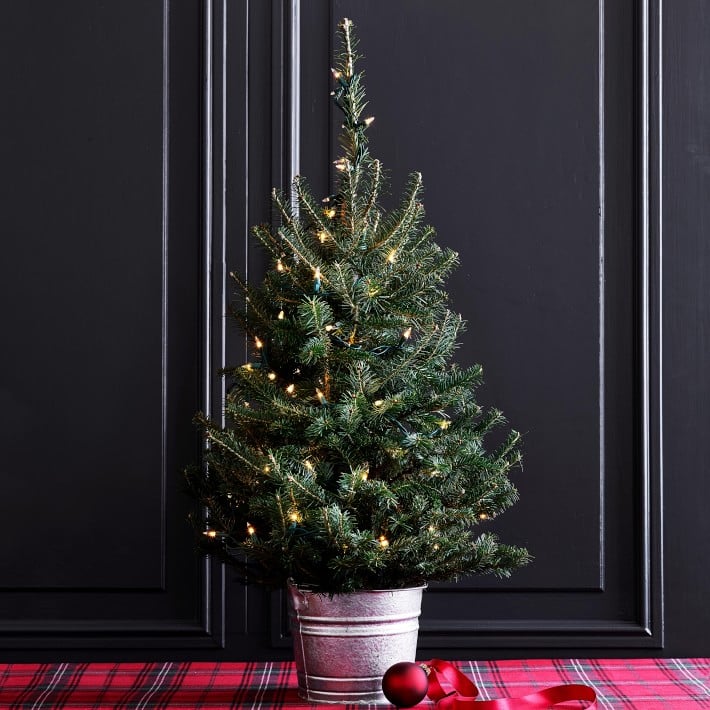 Fresh Tabletop Christmas Tree With Lights