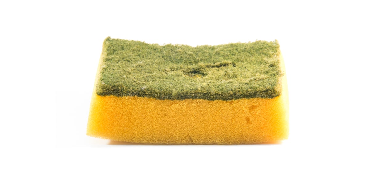 Sponges When to Replace Kitchen Equipment POPSUGAR Food Photo 9
