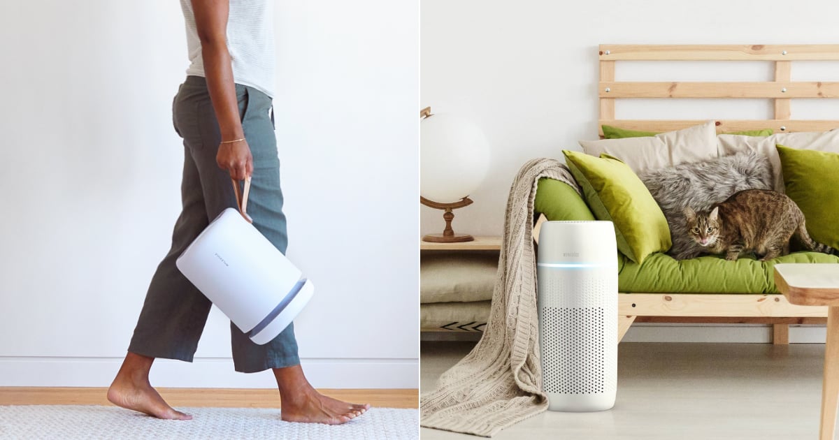 The 10 Best Air Purifiers on the Market