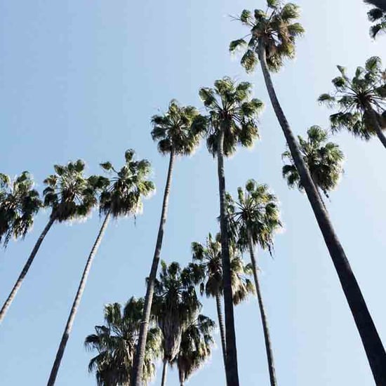 Landscape and Portrait Format on Instagram