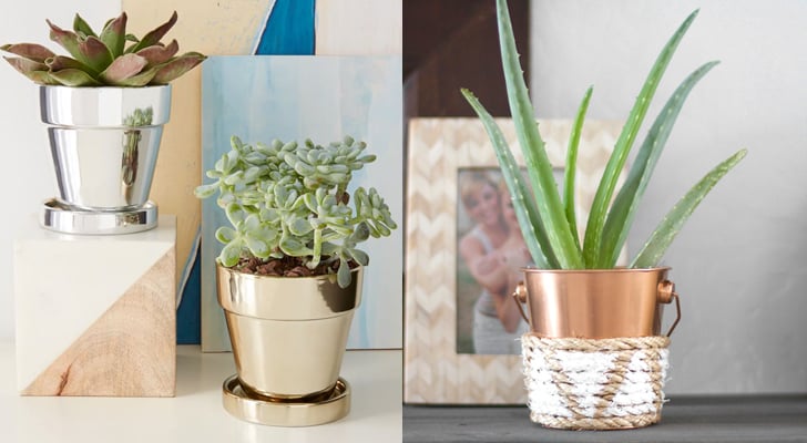 Buy it: Metallic planter ($12) 
DIY it: The star of this pretty planter DIY? A bucket from the Target dollar section! 
Source: West Elm, Kristi Murphy