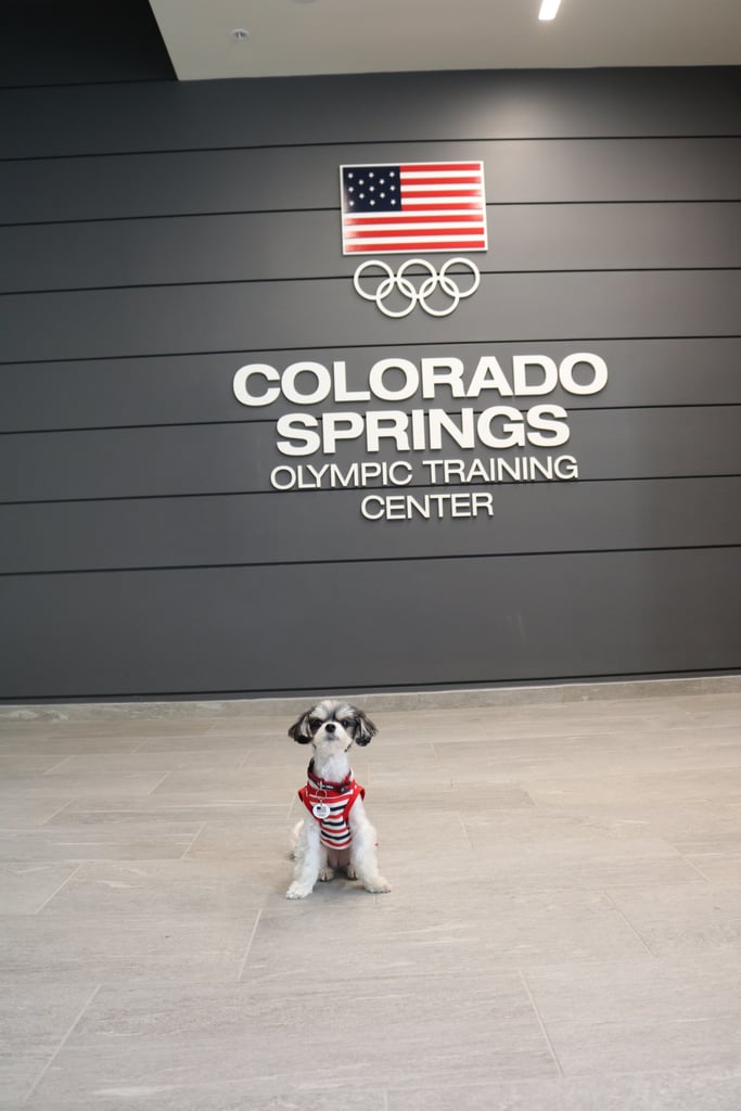 And to the Olympic Training Center! I am official Team USA pup!
