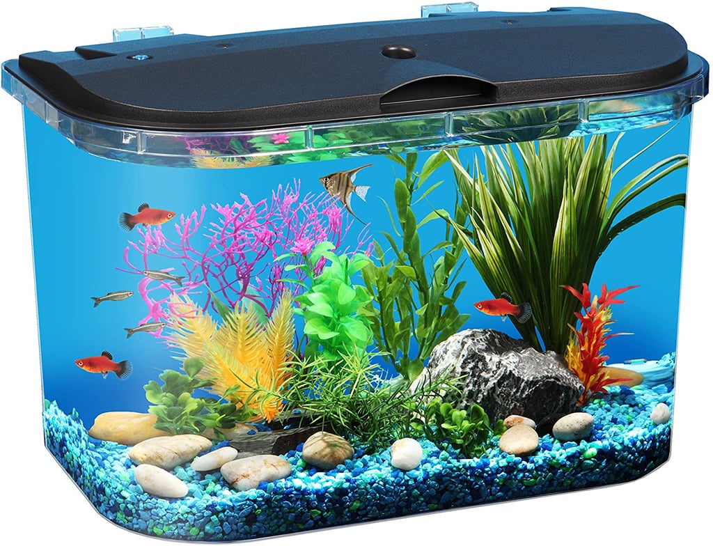 Koller PanaView 5-Gallon Aquarium Kit