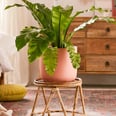 15 Rattan Planters That'll Elevate Your Plant Friends and Your Home Decor Game