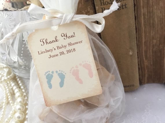 twin baby shower themes