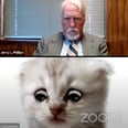 Lawyer Accidentally Joins Zoom Court Hearing With Cat Filter, Wins Over Entire Internet