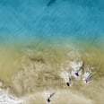 This Dad Captured a Huge Shark Swimming by His Kids on a Drone, and OMG, I'm Shook