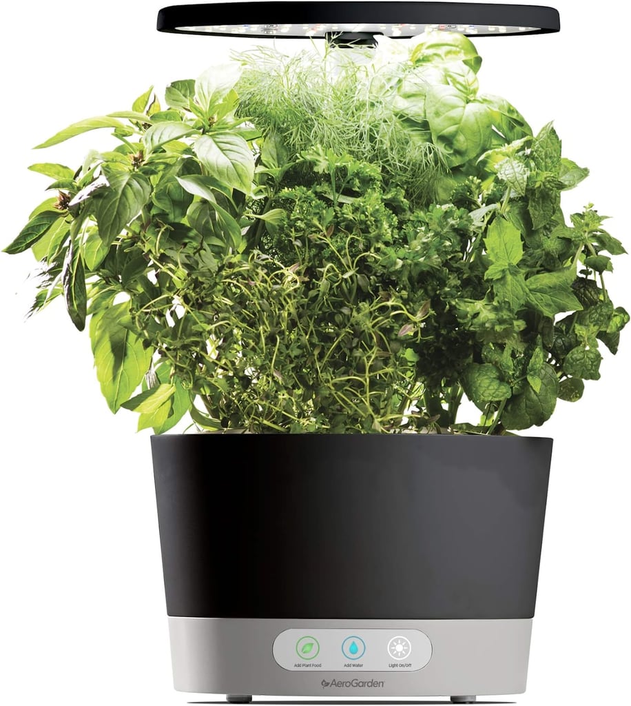 Home Deals: AeroGarden Harvest 360 With Gourmet Herb Seed Pod Kit