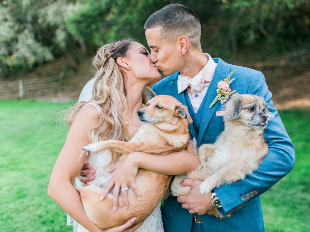 Dogs in Weddings