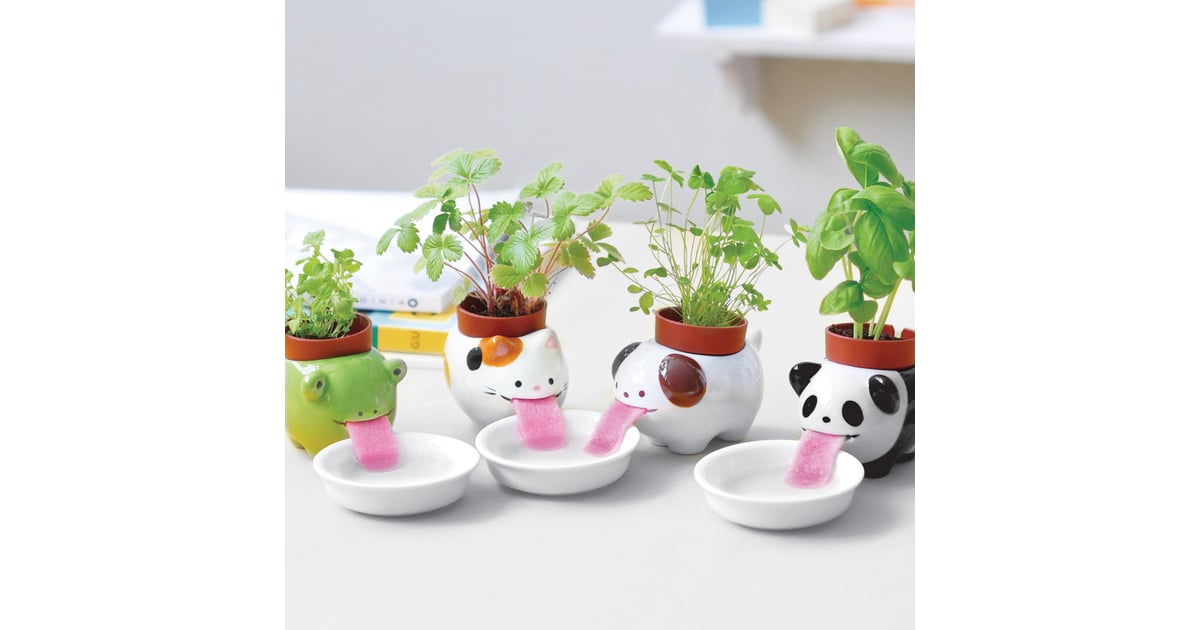 Peropon Drinking Animal Planter