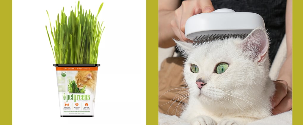Best Gifts For Cat-Lovers, According to Two Cat Ladies