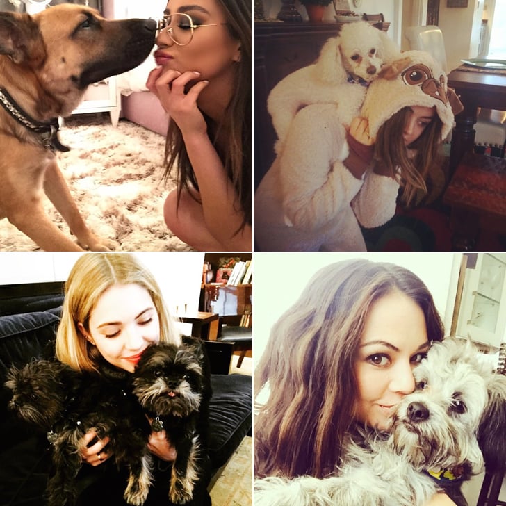 Pretty Little Liars Pets