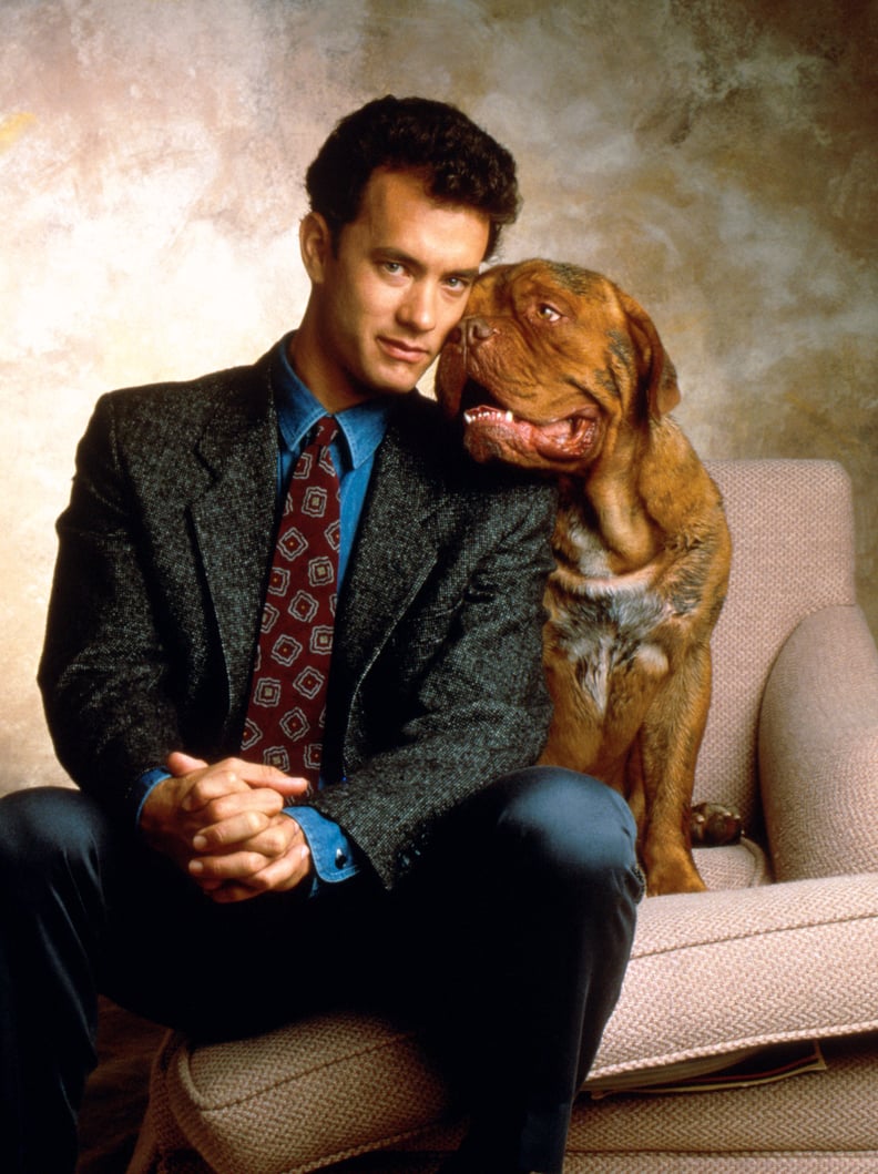 Turner and Hooch