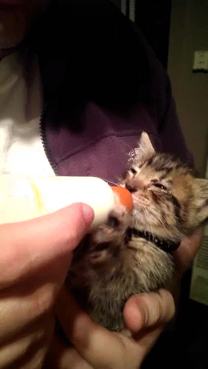 Feed me!