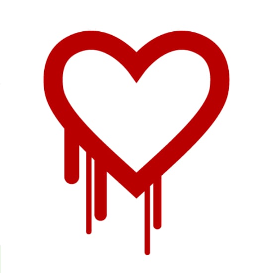 Heartbleed OpenSSL Bug