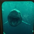 The 47 Meters Down: Uncaged Trailer Is Here, and No, I'll Never Go Back in the Water