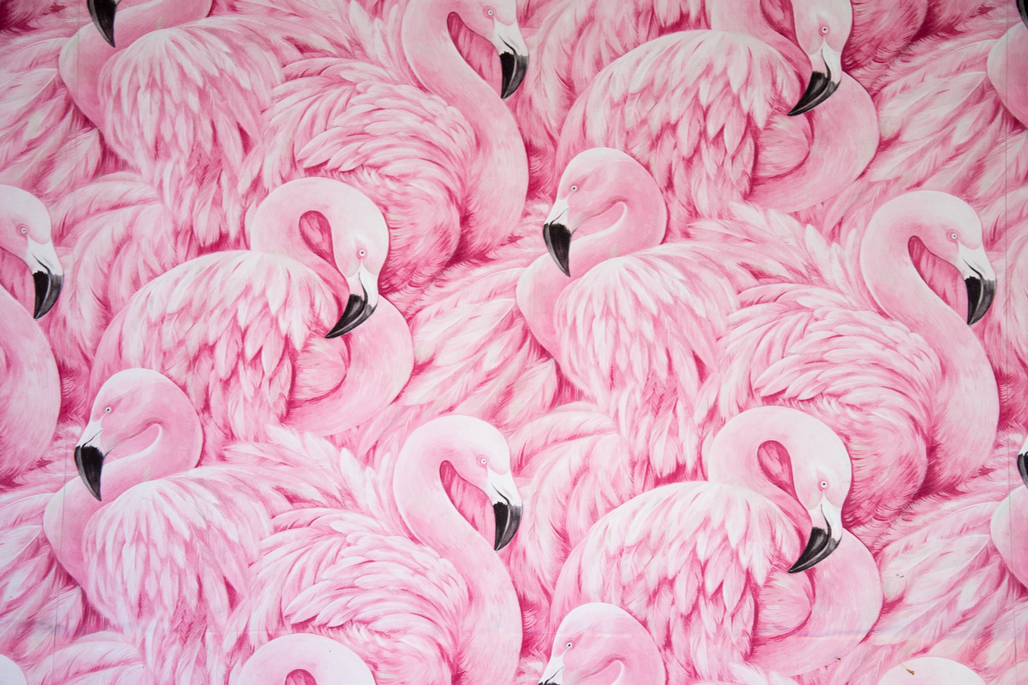 Crimson Flamingo wallpaper