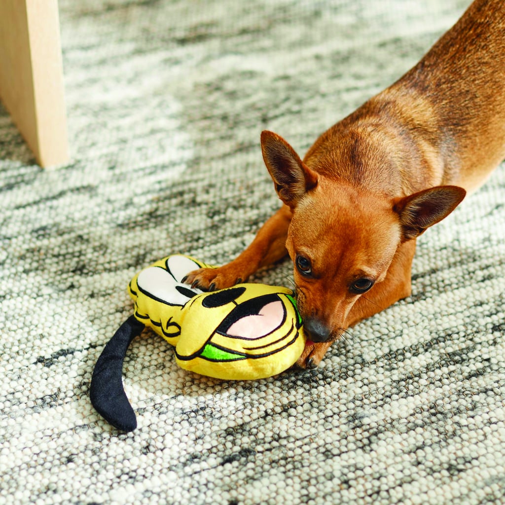 Pluto Round Plush Squeaky Dog Toy