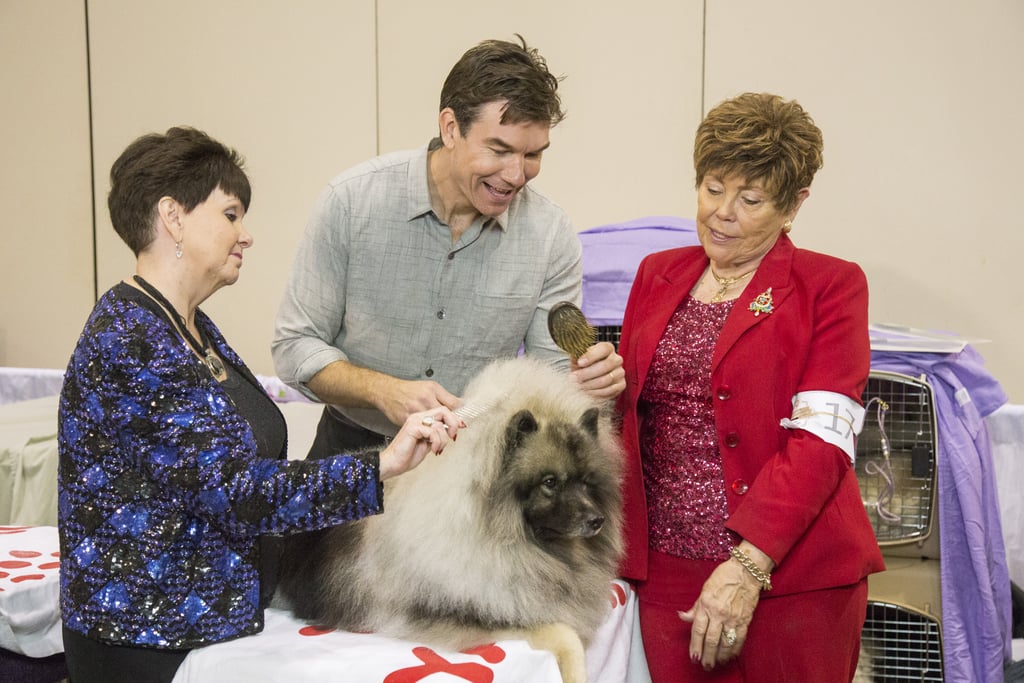 Jerry O'Connell at AKC National Championship Dog Show