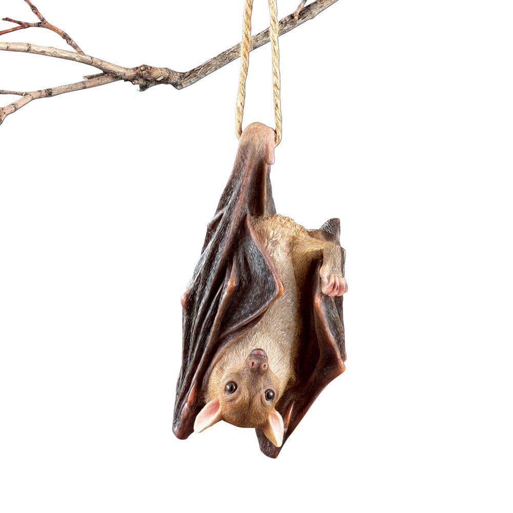 Hanging Swinging Bat