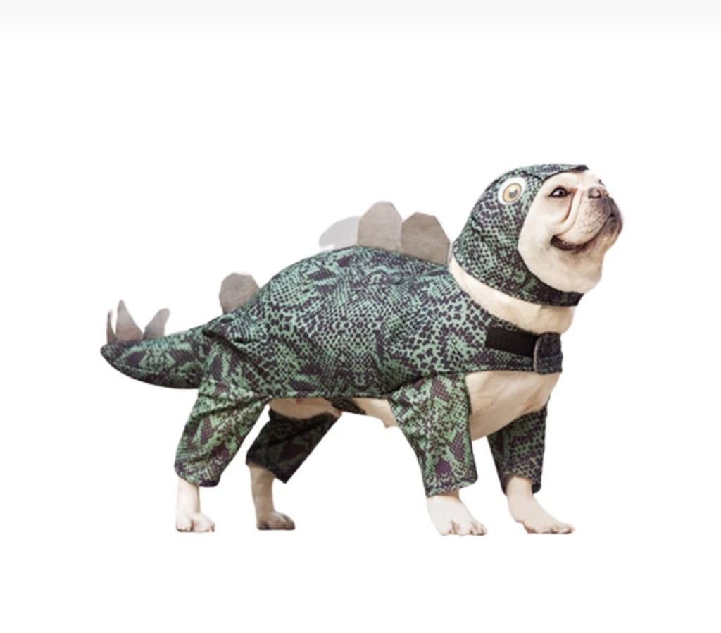 Stegosaurus Dinosaur Dog Costume