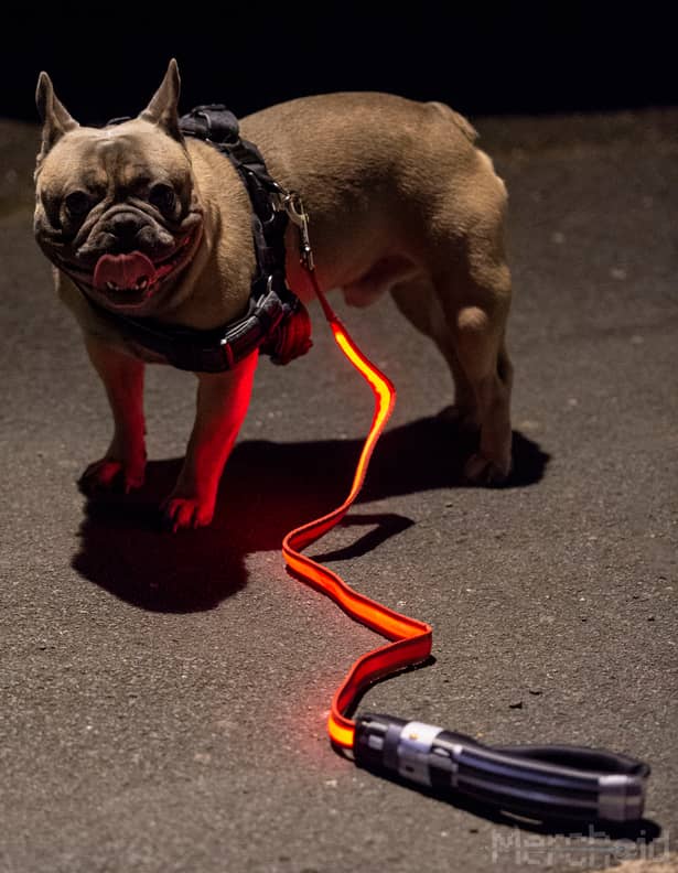 Star Wars Lightsaber Light Up Leash POPSUGAR Family