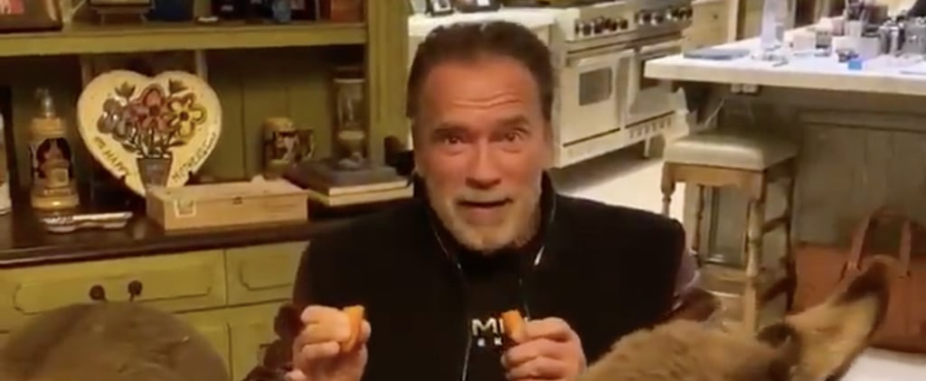 Arnold Schwarzenegger and His Pet Donkey and Pet Pony Encourage Others to Self-Isolate