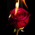 How "Spicy" Books Have Helped People's Sex Lives