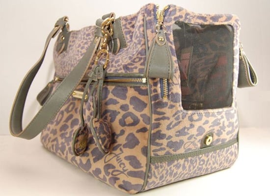 juicy couture for dogs