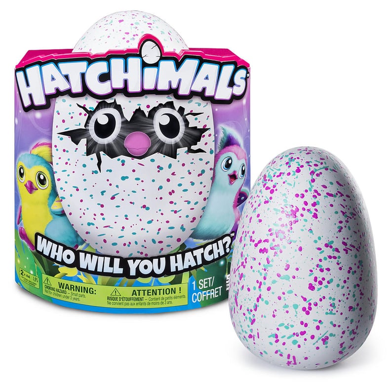 Hatchimals Pengualas Egg