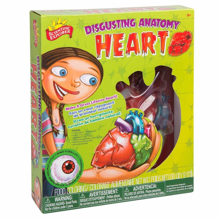 Scientific Explorer Disgusting Anatomy of the Heart Science