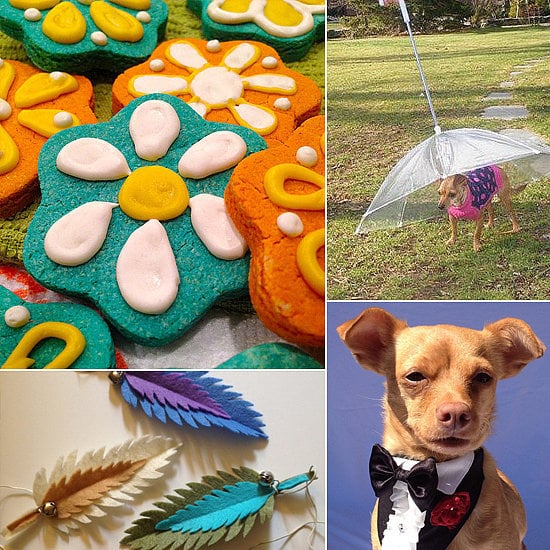 Show your pets some love this April with the best pet products, perfect for rainy strolls or fun indoors. 'Tis the season for weddings, Spring cleaning, and keeping your pets happy and safe. From fun toys to the best grooming goods, celebrate your fluffer with these items from POPSUGAR Pets.