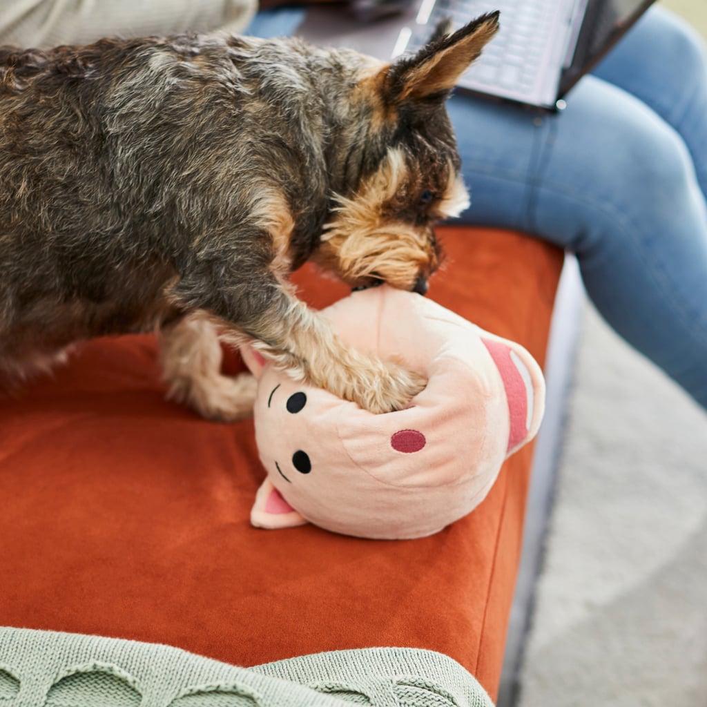 Pixar Hamm Round Plush Squeaky Dog Toy