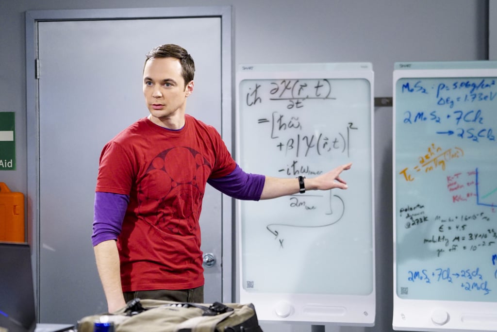 The Big Bang Theory Prequel Cast
