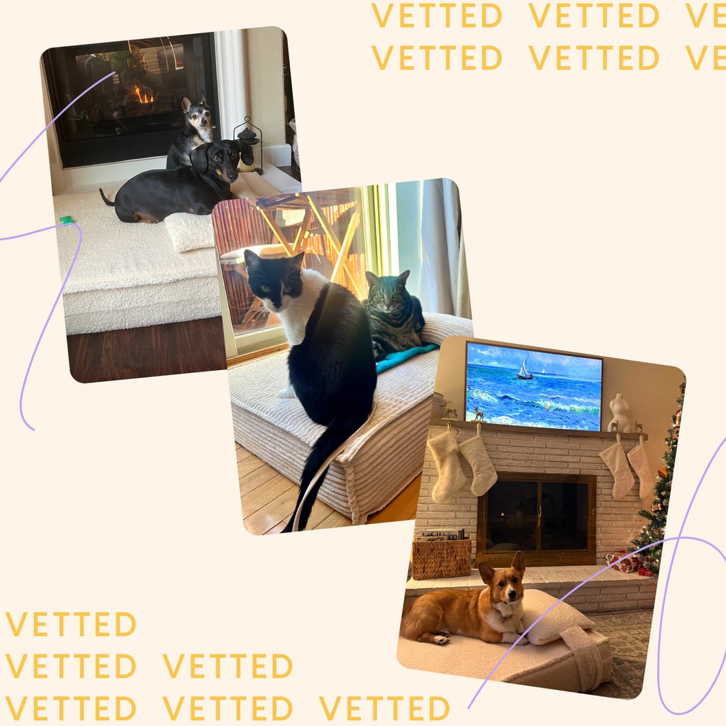 Is This the Best Pet Bed Ever? 3 PS Editors and Their Animals Give It 5 Stars