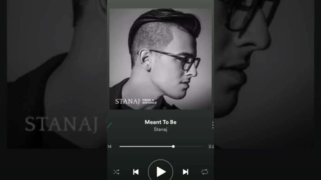 "Meant to Be" by Stanaj