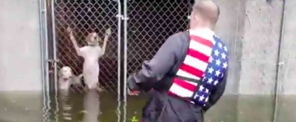 This Man Rescued 6 Dogs Trapped in Cages During Hurricane Florence, and Thank God