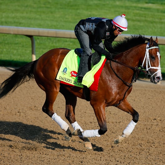 Kentucky Derby Horses 2015