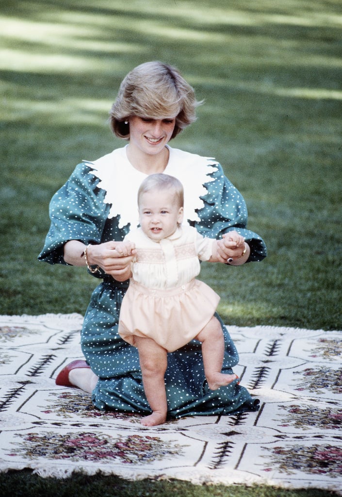 Princess Diana Pictures With Young Prince William And Harry Popsugar Celebrity Australia