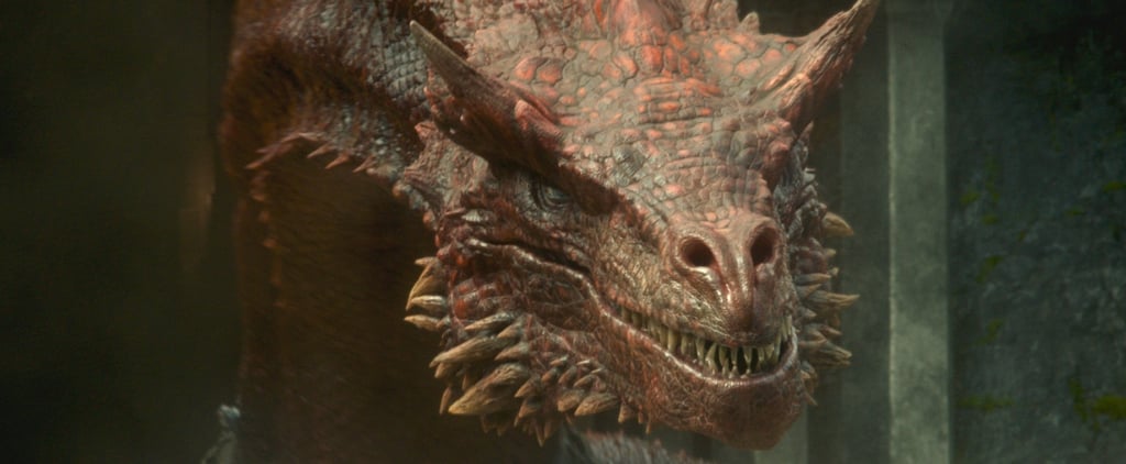 Why Do Fictional Animal Deaths in Movies and TV Make Me Sad?