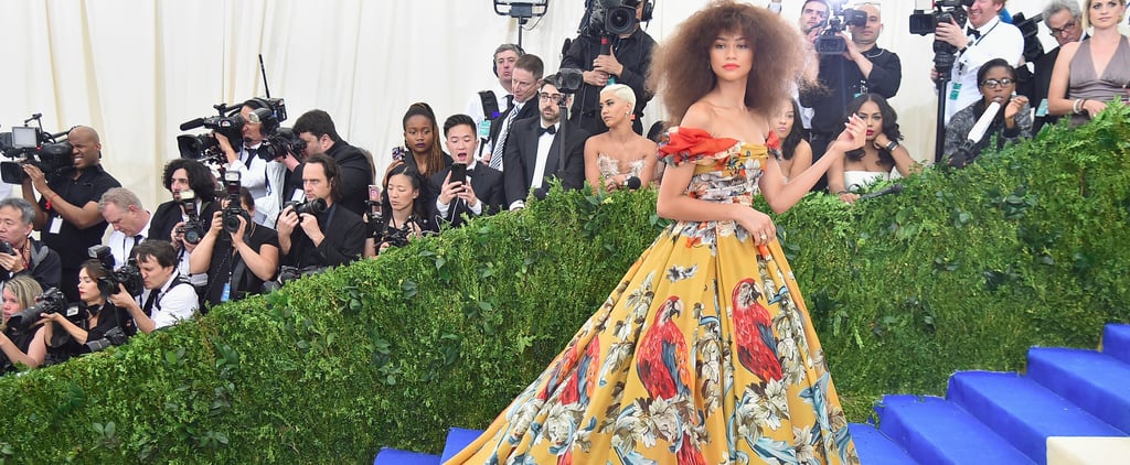 Zendaya's Dolce & Gabbana Dress at the Met Gala 2017